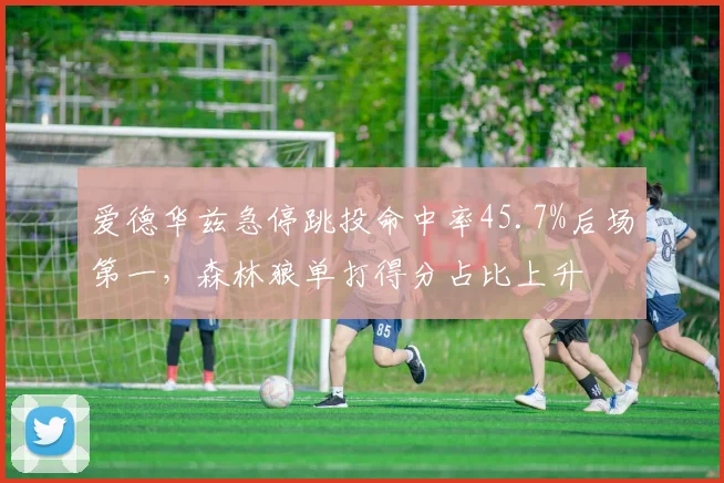 爱德华兹急停跳投命中率45.7%后场第一，森林狼单打得分占比上升