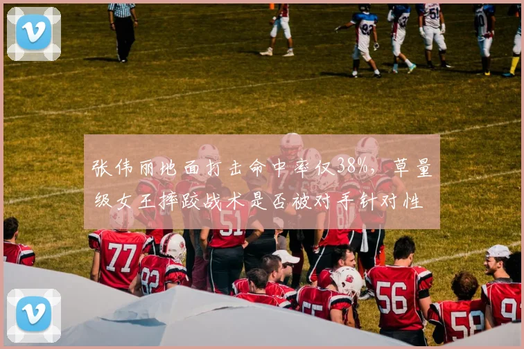 张伟丽地面打击命中率仅38%，草量级女王摔跤战术是否被对手针对性研究？